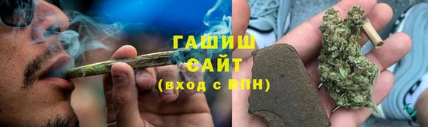 прущие грибы Беломорск