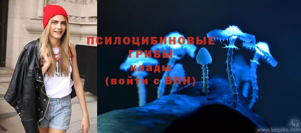 прущие грибы Беломорск