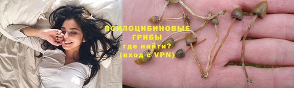 прущие грибы Беломорск