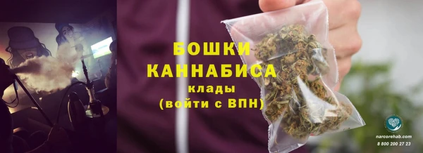 прущие грибы Беломорск