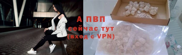 гашик Белоозёрский