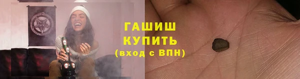 прущие грибы Беломорск