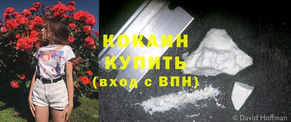 прущие грибы Беломорск