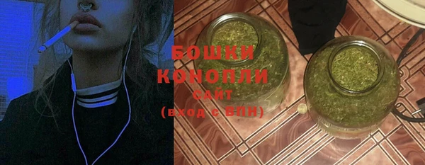 гашик Белоозёрский