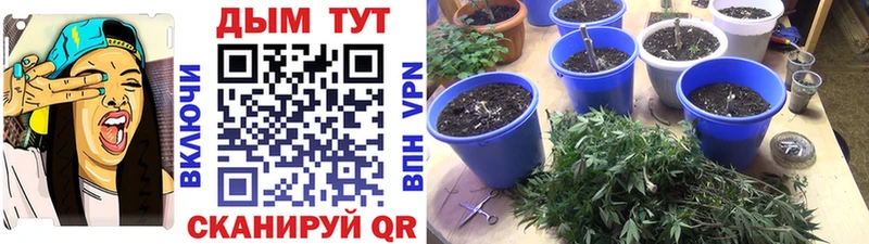 Бошки марихуана OG Kush  МЕГА вход  Ростов-на-Дону 